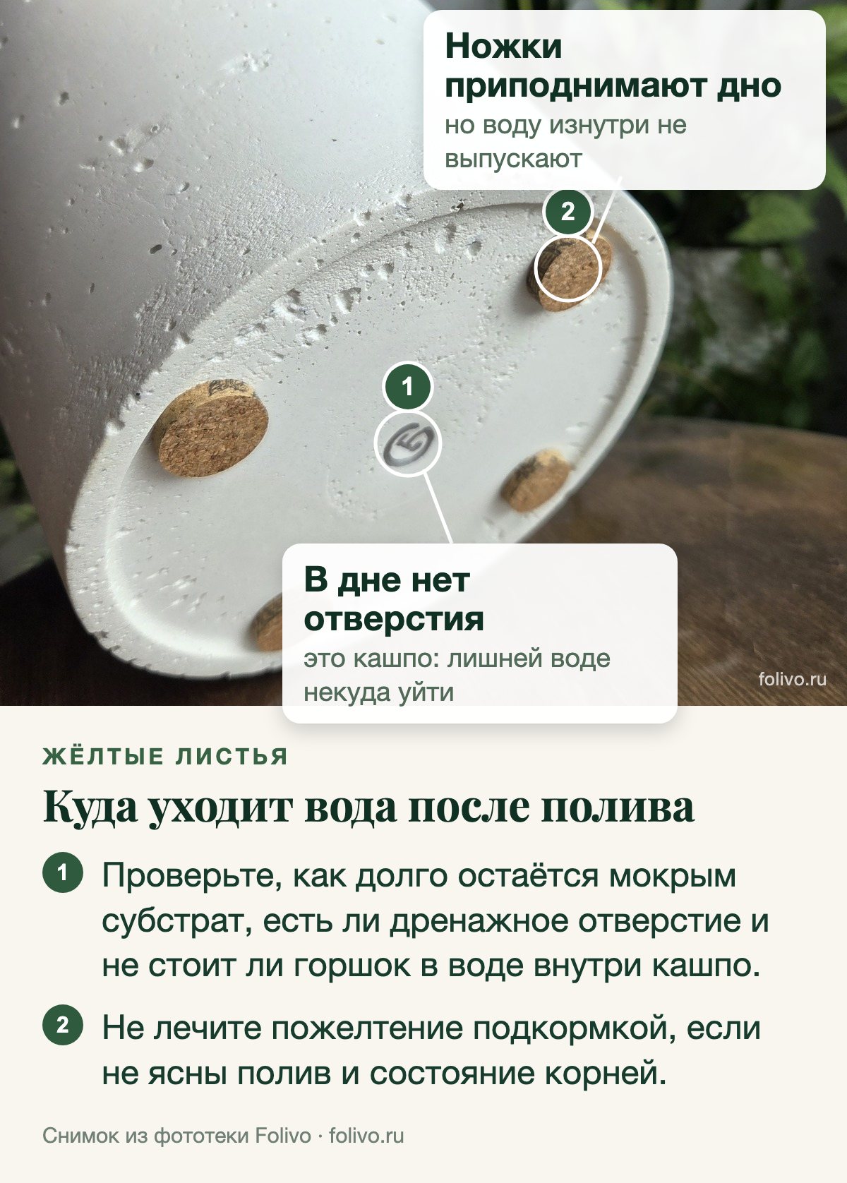 Белое кашпо перевёрнуто дном вверх: на дне четыре пробковые ножки и значок, отверстия нет. Выноски: 1 — в дне нет отверстия, это кашпо, лишней воде некуда уйти; 2 — ножки приподнимают дно, но воду изнутри не выпускают. Под снимком два пункта: проверьте, как долго остаётся мокрым субстрат, есть ли дренажное отверстие и не стоит ли горшок в воде внутри кашпо; не лечите пожелтение подкормкой, если не ясны полив и состояние корней.